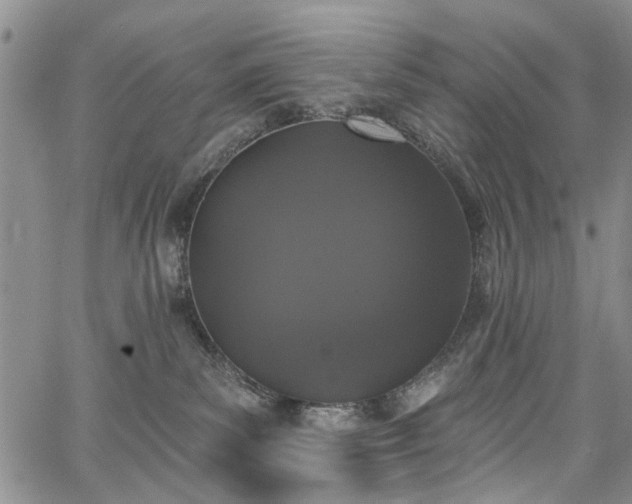 X0000067900139200604201344