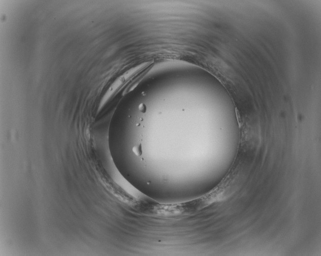 X0000067900141200604201344