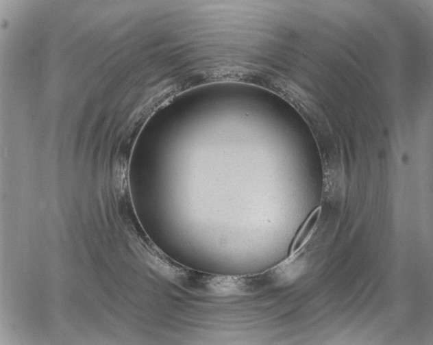 X0000067900142200604201344