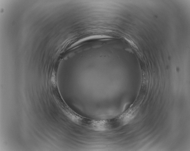 X0000067900143200604201344