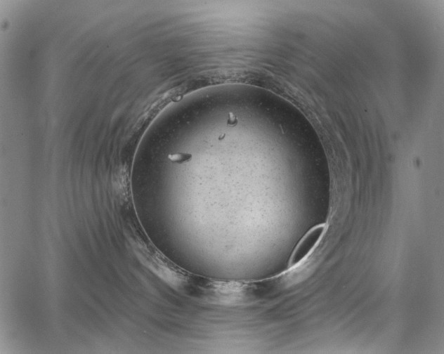 X0000067900144200604201344