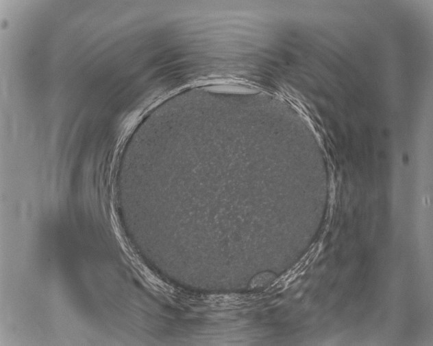 X0000067900145200604201343