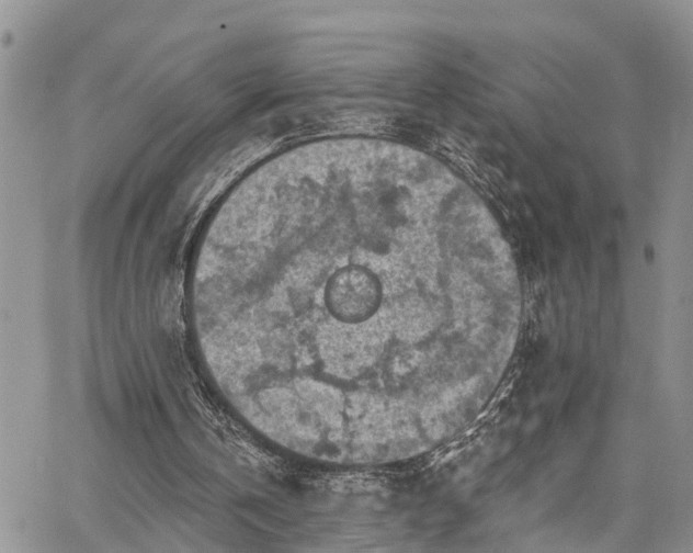 X0000067900146200604201343