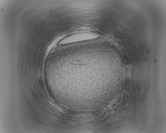 X0000067900147200604201343