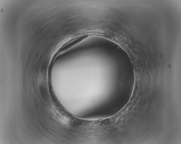 X0000067900148200604201343