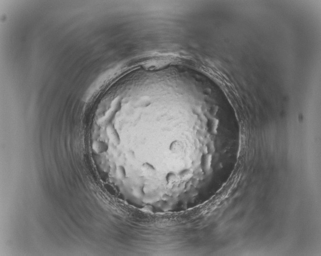 X0000067900149200604201344