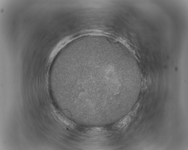 X0000067900151200604201344