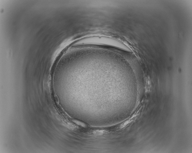 X0000067900152200604201344