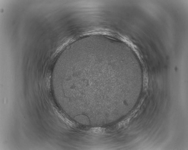 X0000067900153200604201344