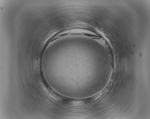 X0000067900154200604201344