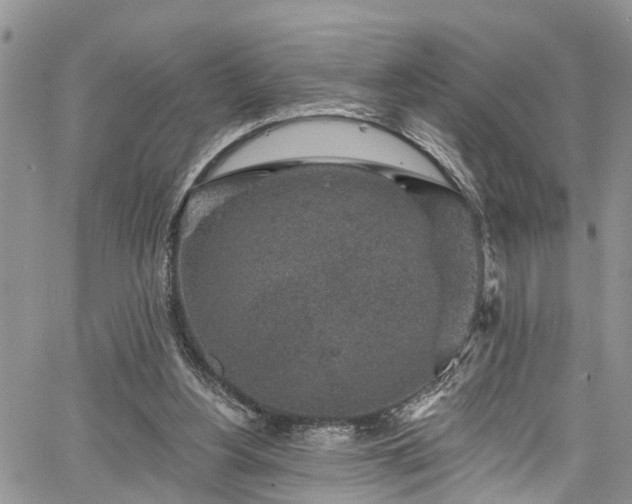 X0000067900156200604201344