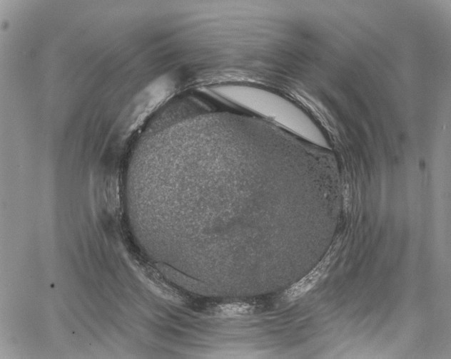 X0000067900158200604201344