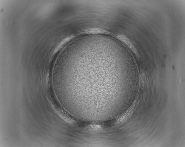 X0000067900159200604201344