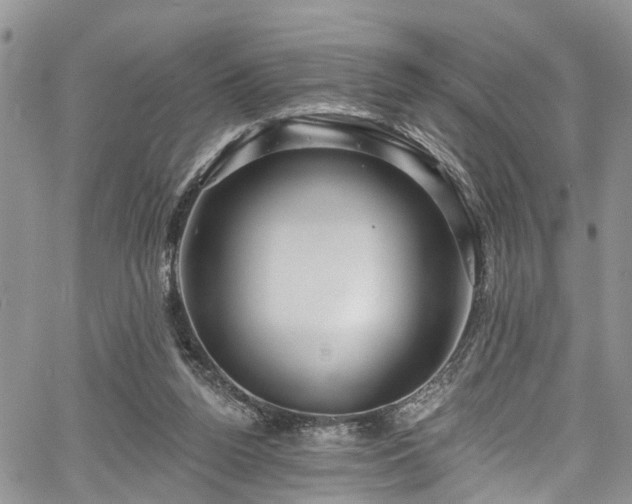 X0000067900160200604201344