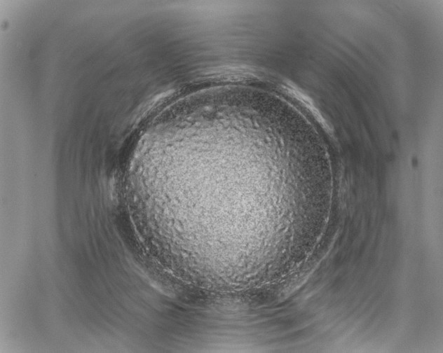 X0000067900161200604201344