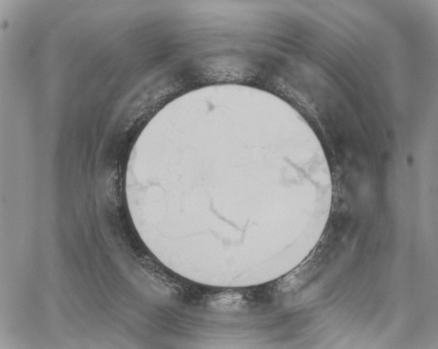 X0000067900162200604201344