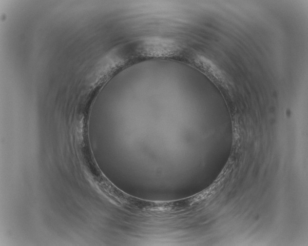 X0000067900163200604201344