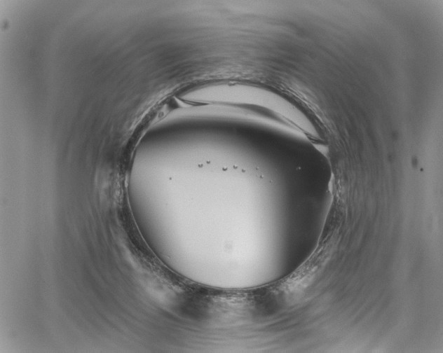 X0000067900164200604201344