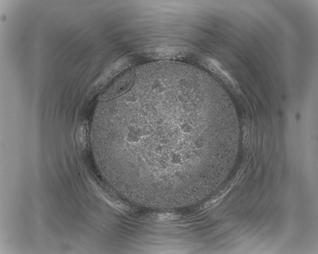 X0000067900165200604201344