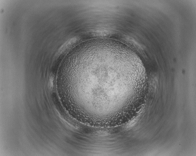 X0000067900166200604201344