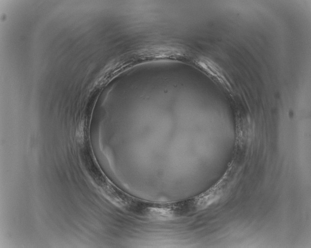 X0000067900167200604201344