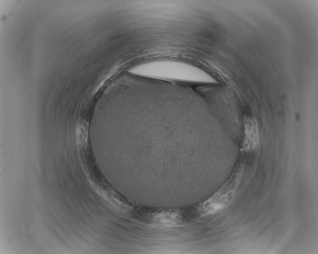 X0000067900168200604201344