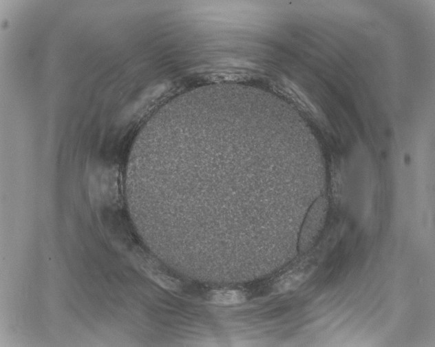 X0000067900169200604201344