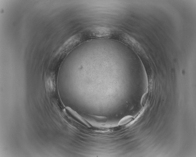 X0000067900170200604201344