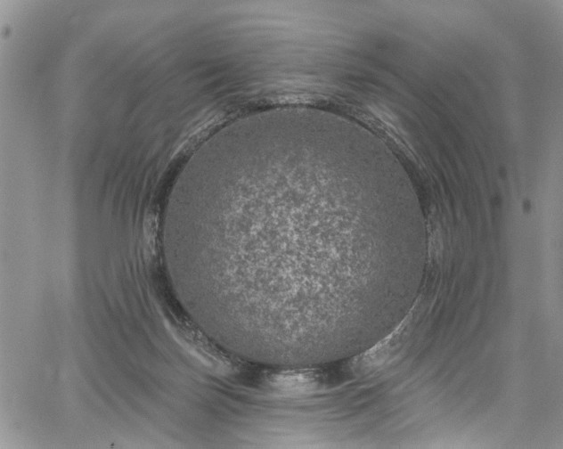 X0000067900171200604201344