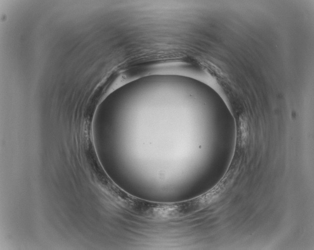 X0000067900172200604201344