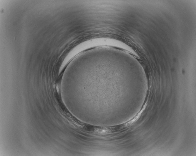 X0000067900174200604201344