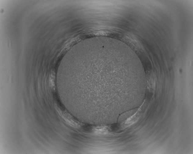 X0000067900175200604201344