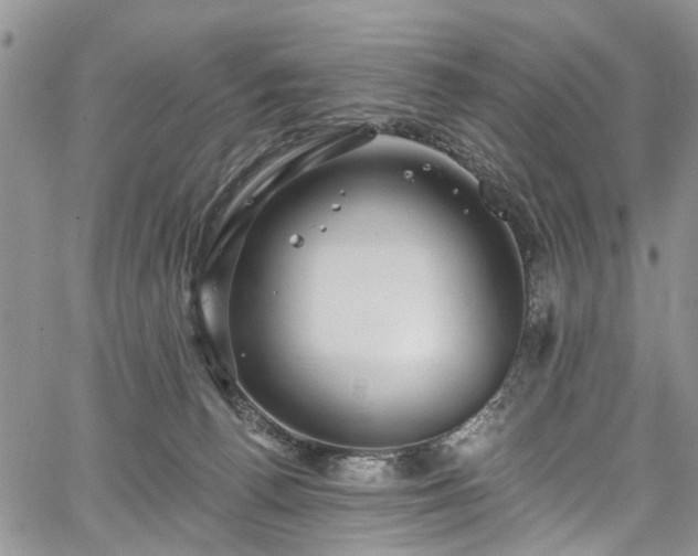 X0000067900176200604201344