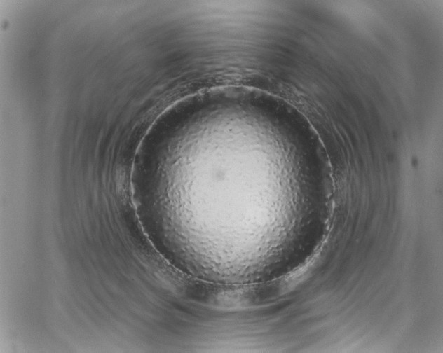 X0000067900178200604201344