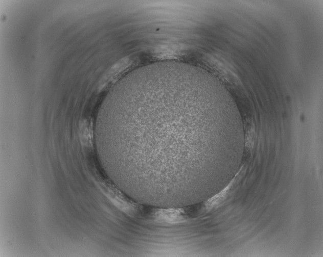 X0000067900179200604201344