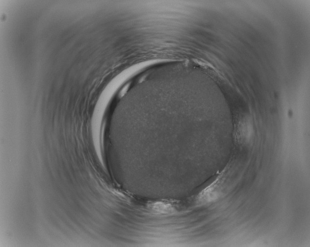 X0000067900180200604201344