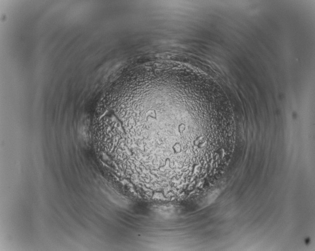 X0000067900181200604201344