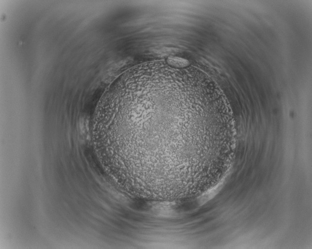 X0000067900182200604201344