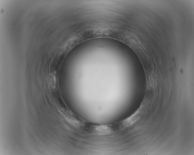 X0000067900183200604201344