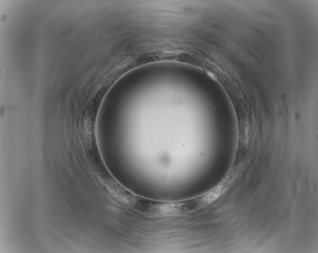 X0000067900184200604201344