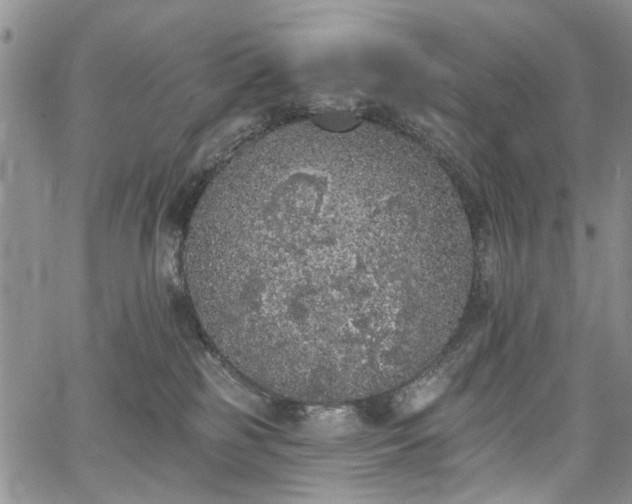 X0000067900185200604201344