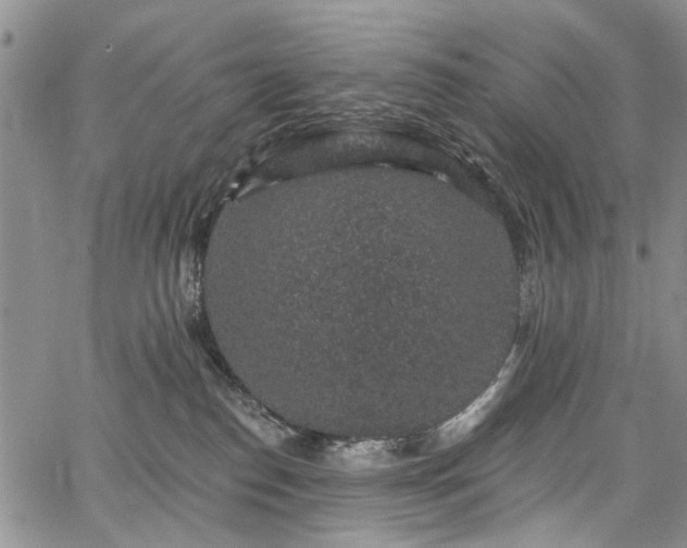 X0000067900186200604201344