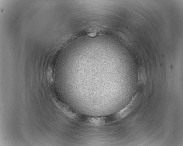 X0000067900187200604201344