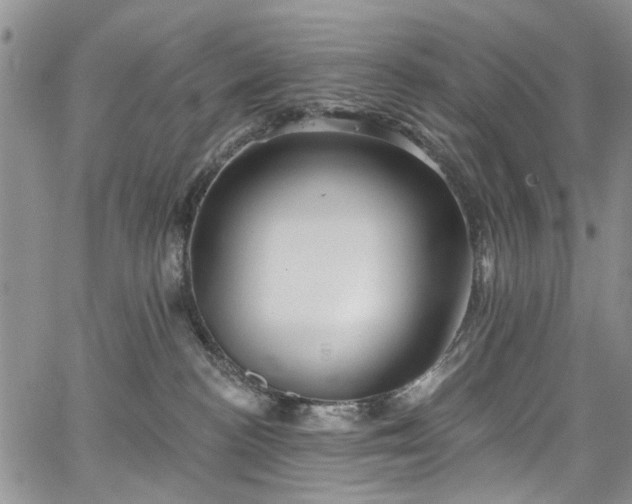 X0000067900188200604201344