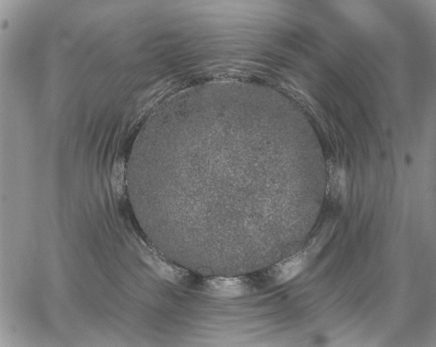 X0000067900189200604201344