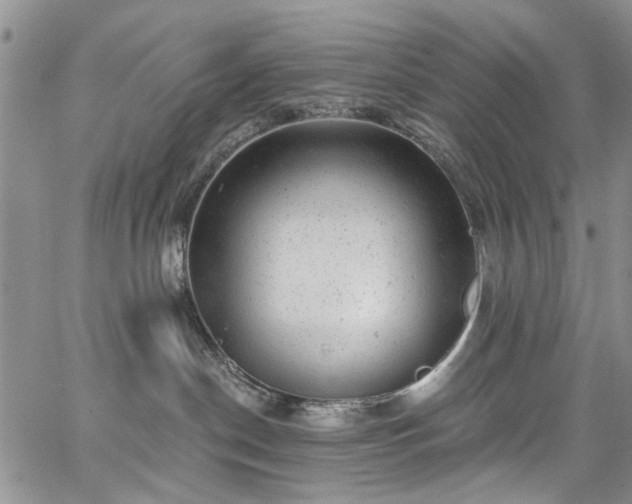 X0000067900190200604201344