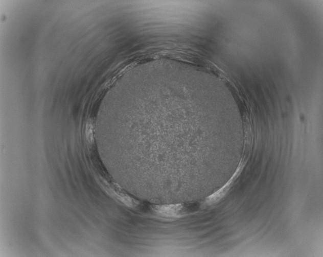 X0000067900191200604201344