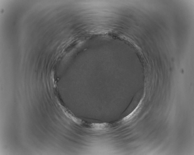 X0000067900192200604201344