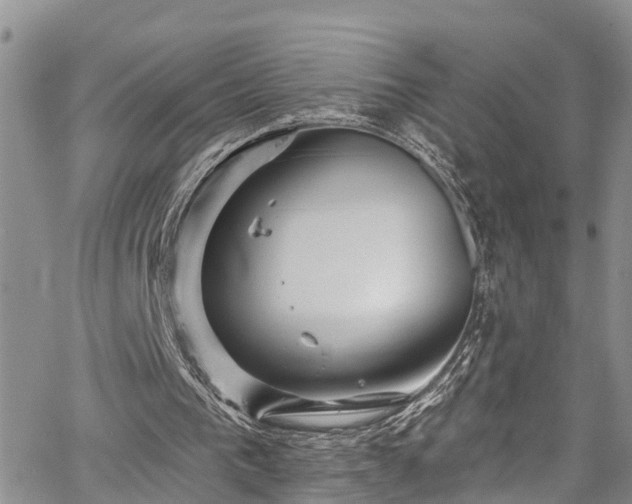 X0000067900193200604201343