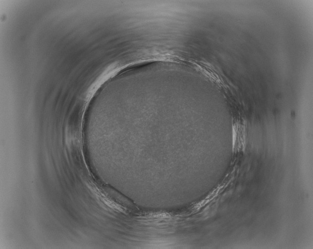 X0000067900195200604201343